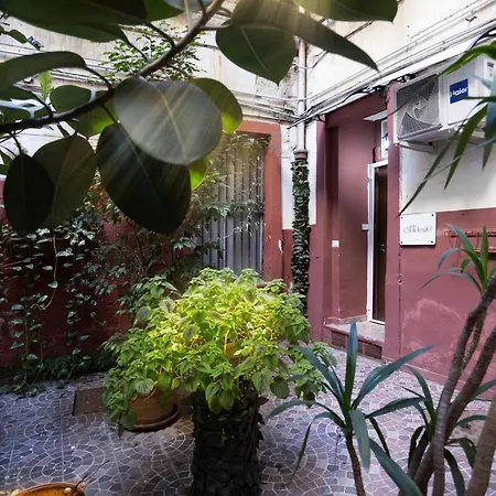 Cantelmo 10